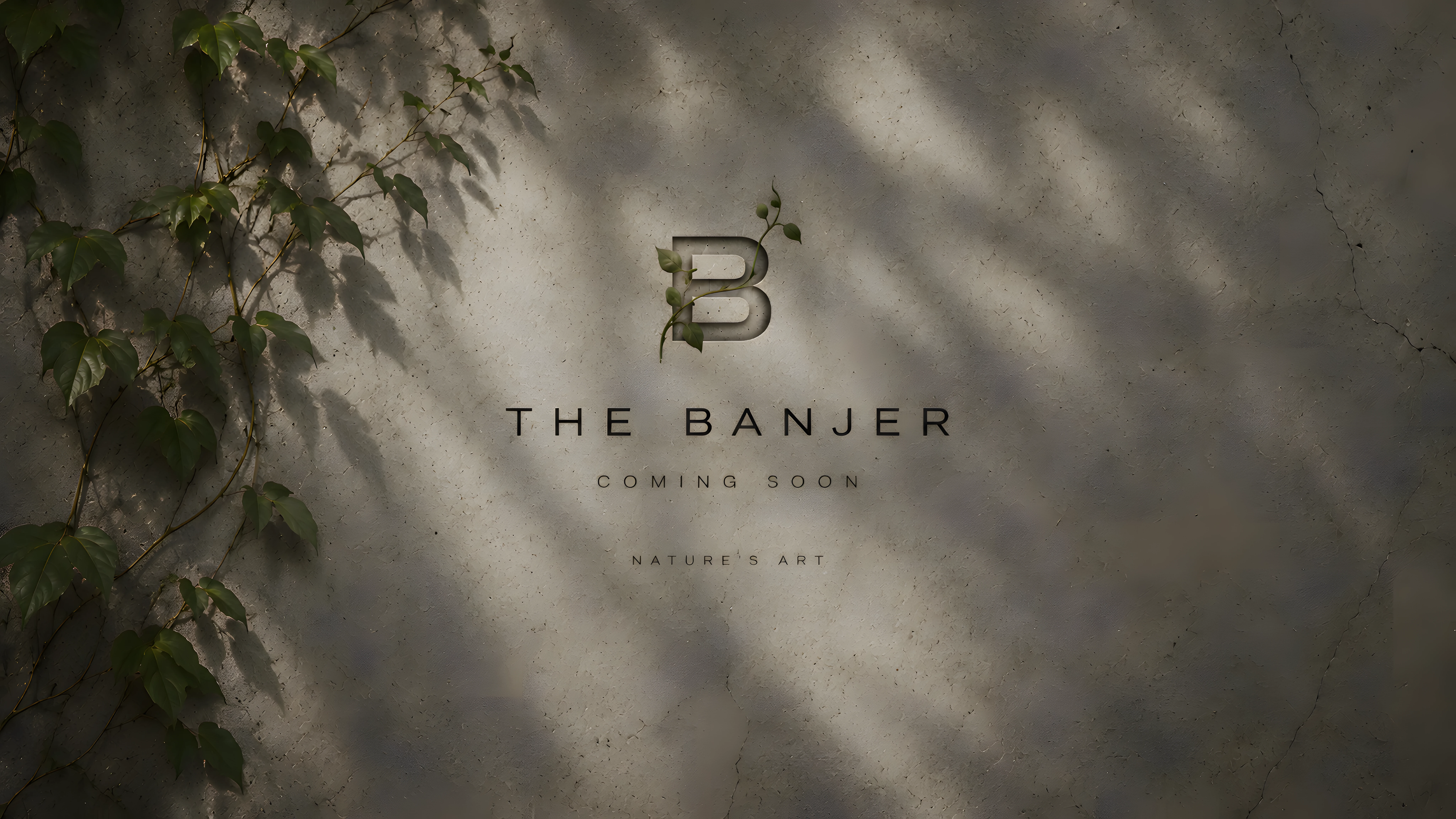 The Banjer - Coming soon...